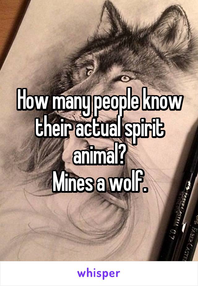 How many people know their actual spirit animal?
Mines a wolf.