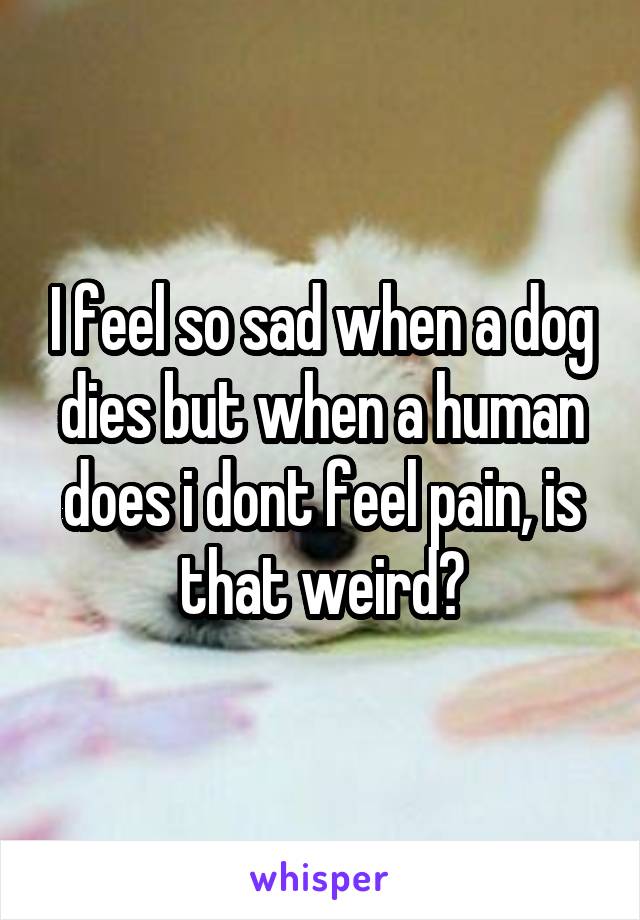 I feel so sad when a dog dies but when a human does i dont feel pain, is that weird?
