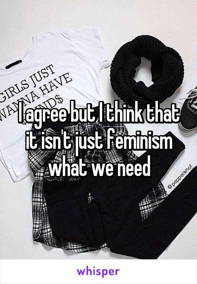 I agree but I think that it isn't just feminism what we need