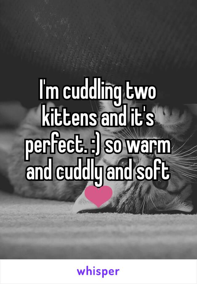 I'm cuddling two kittens and it's perfect. :) so warm and cuddly and soft ❤