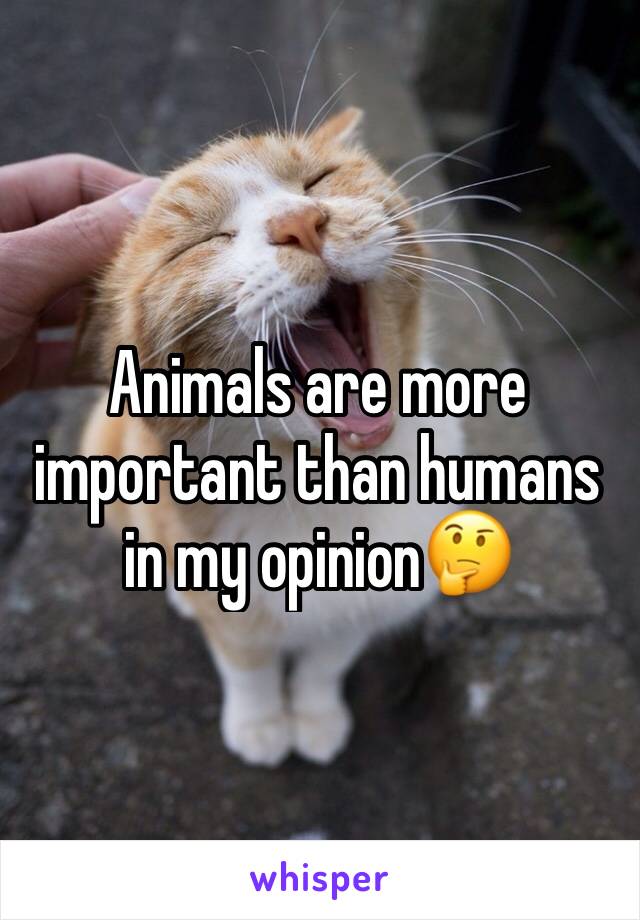 Animals are more important than humans in my opinion🤔