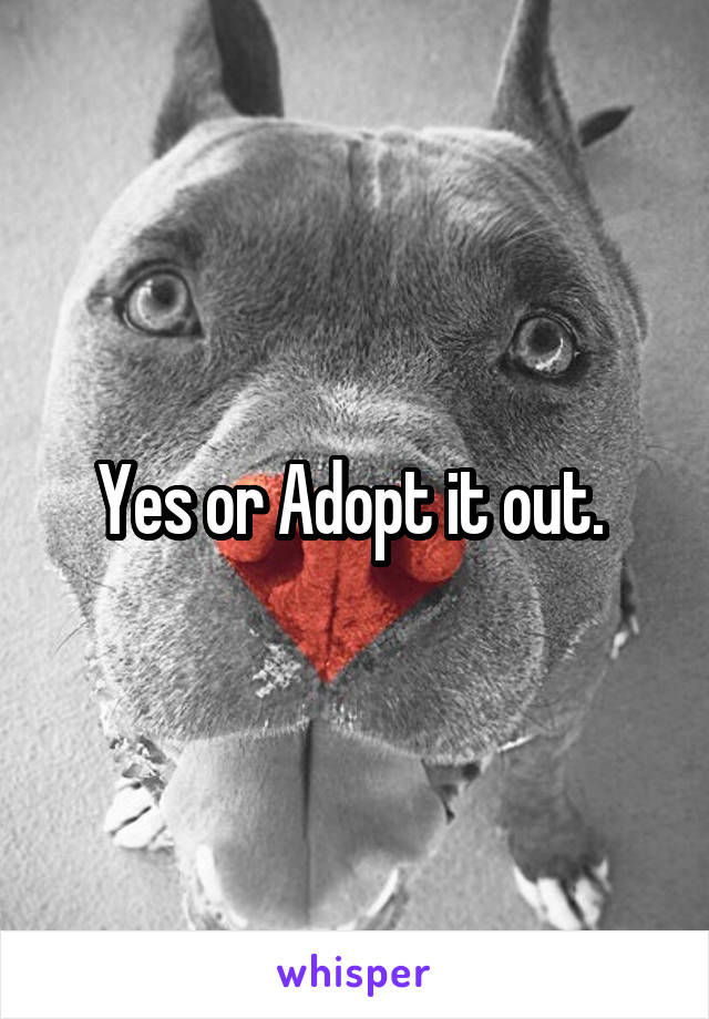 Yes or Adopt it out. 