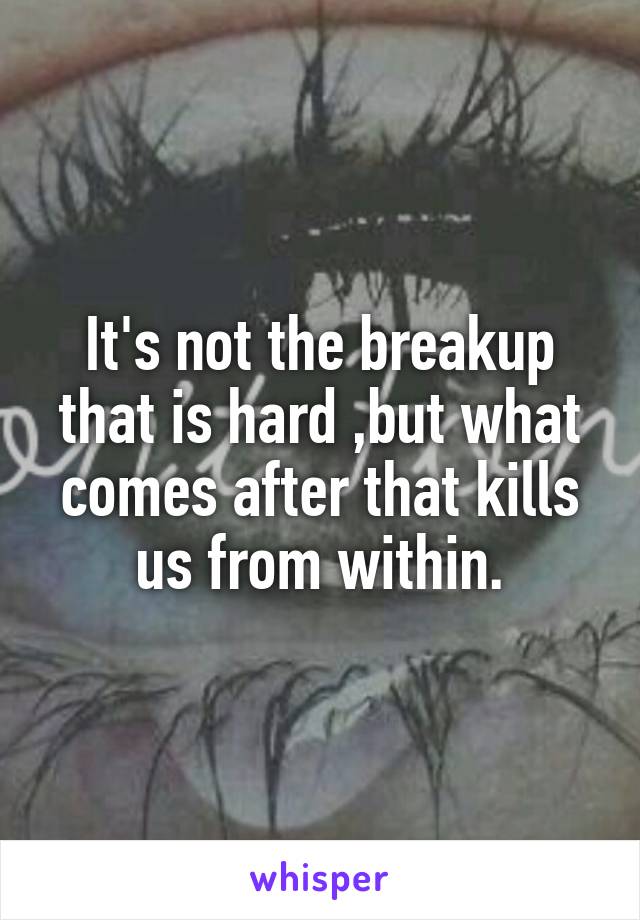 It's not the breakup that is hard ,but what comes after that kills us from within.