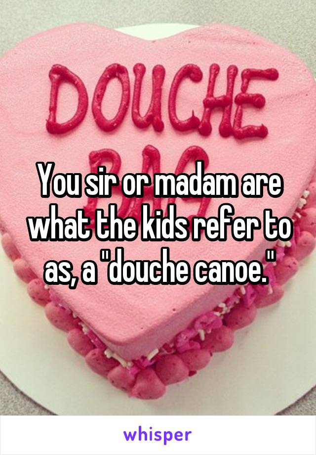 You sir or madam are what the kids refer to as, a "douche canoe."