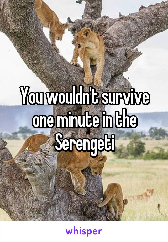 You wouldn't survive one minute in the Serengeti
