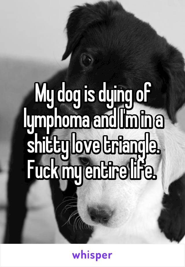 My dog is dying of lymphoma and I'm in a shitty love triangle. Fuck my entire life. 