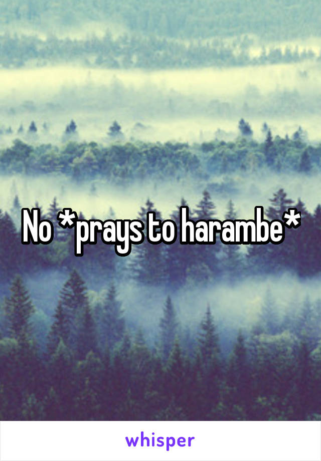 No *prays to harambe*