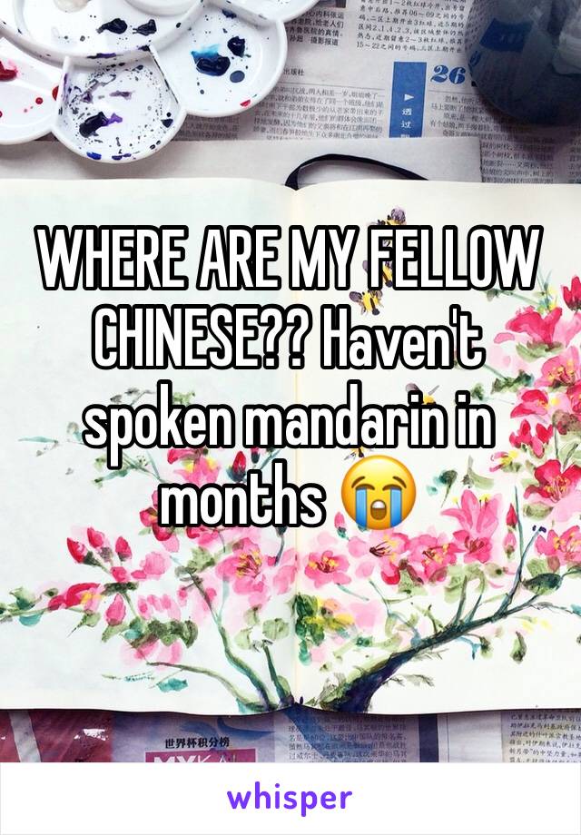 WHERE ARE MY FELLOW CHINESE?? Haven't spoken mandarin in months 😭