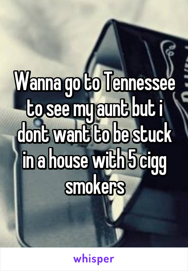 Wanna go to Tennessee to see my aunt but i dont want to be stuck in a house with 5 cigg smokers