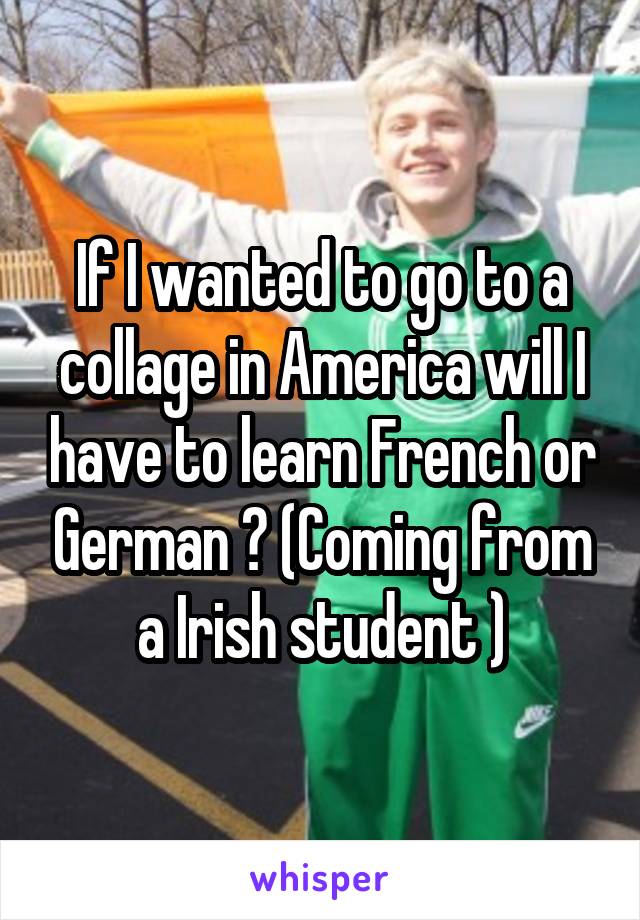 If I wanted to go to a collage in America will I have to learn French or German ? (Coming from a Irish student )