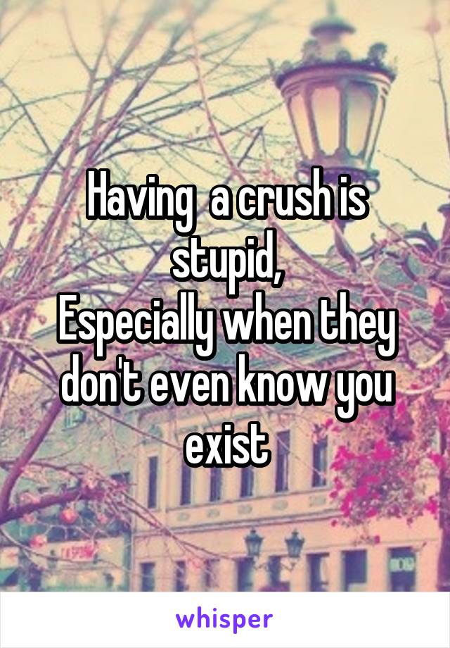 Having  a crush is stupid,
Especially when they don't even know you exist