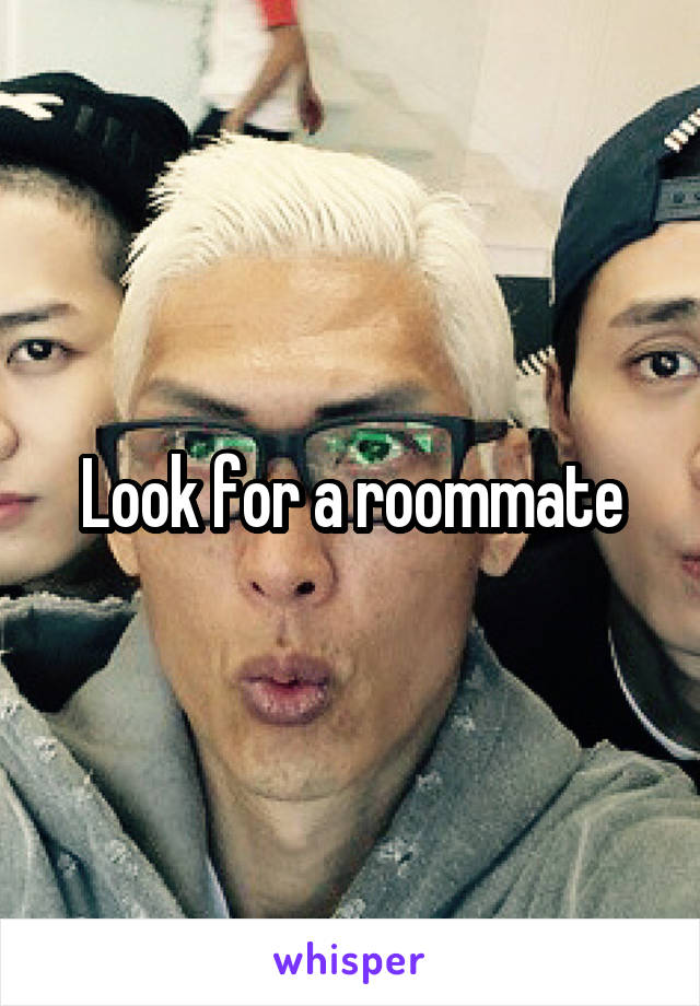 Look for a roommate
