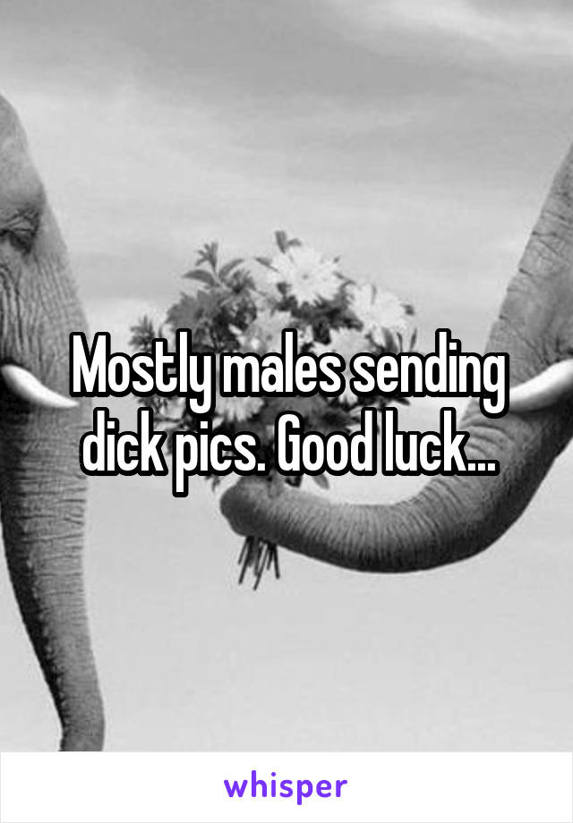Mostly males sending dick pics. Good luck...