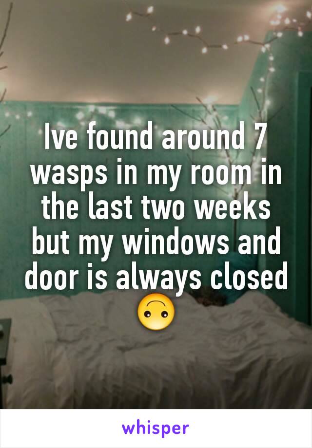 Ive found around 7 wasps in my room in the last two weeks but my windows and door is always closed 🙃