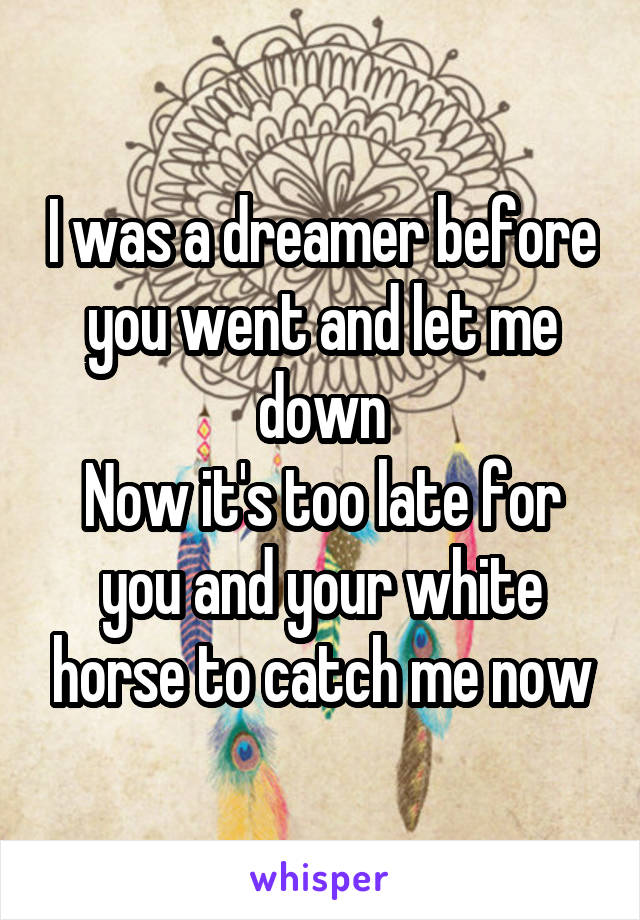 I was a dreamer before you went and let me down
Now it's too late for you and your white horse to catch me now