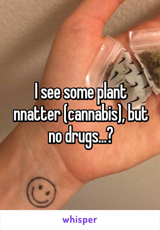 I see some plant nnatter (cannabis), but no drugs...?