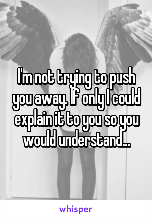 I'm not trying to push you away. If only I could explain it to you so you would understand...