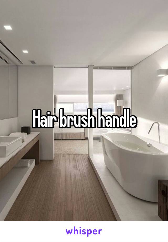 Hair brush handle