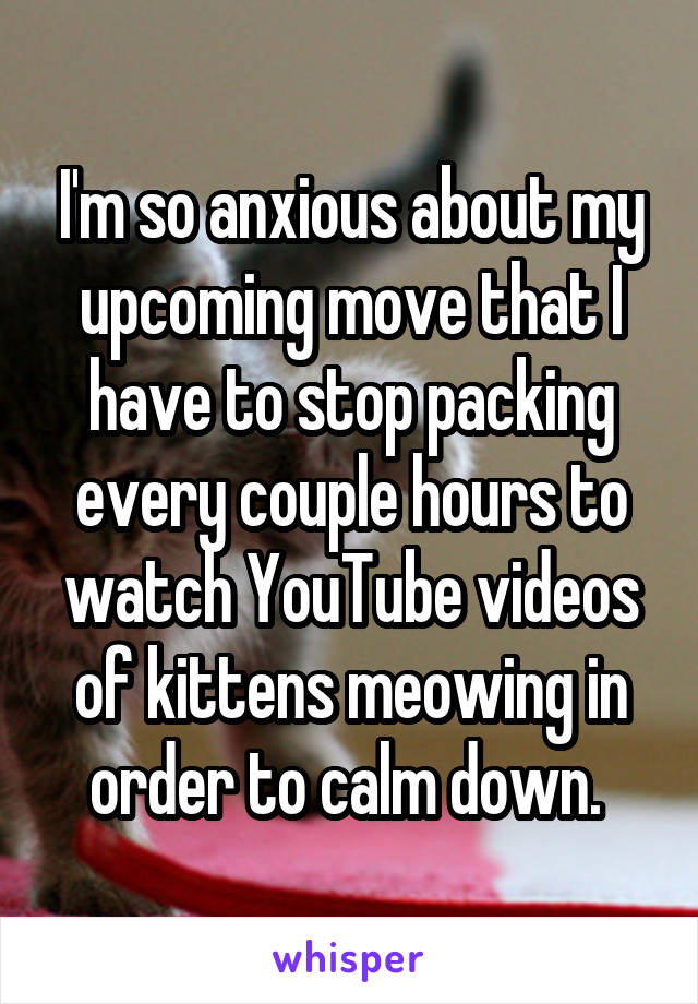 I'm so anxious about my upcoming move that I have to stop packing every couple hours to watch YouTube videos of kittens meowing in order to calm down. 