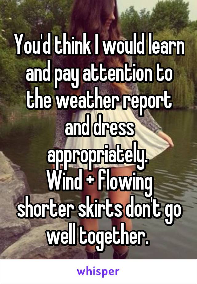 You'd think I would learn and pay attention to the weather report and dress appropriately. 
Wind + flowing shorter skirts don't go well together. 