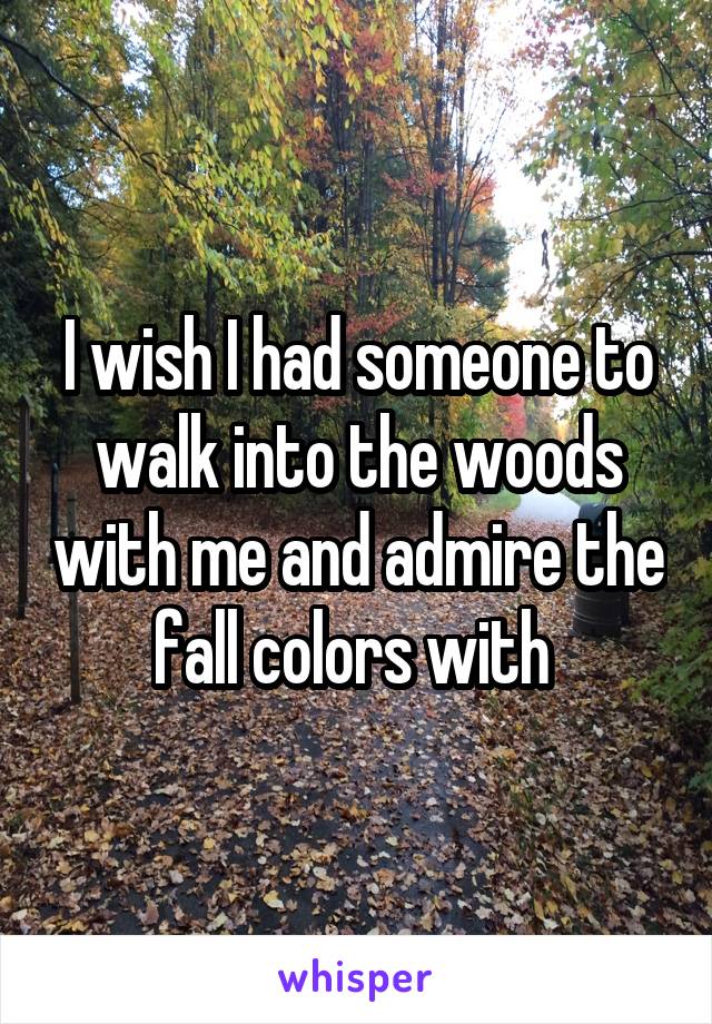 I wish I had someone to walk into the woods with me and admire the fall colors with 