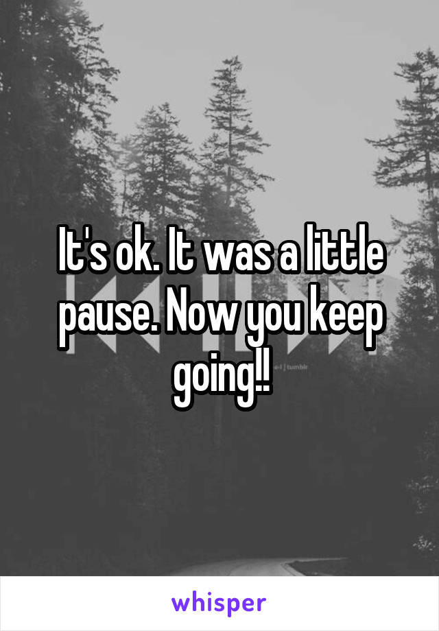 It's ok. It was a little pause. Now you keep going!!