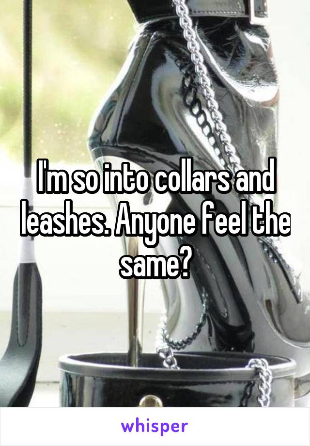 I'm so into collars and leashes. Anyone feel the same?