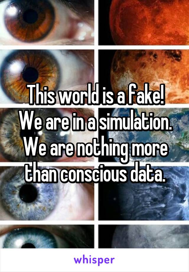 This world is a fake!
We are in a simulation.
We are nothing more than conscious data.