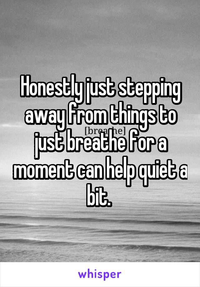 Honestly just stepping away from things to just breathe for a moment can help quiet a bit. 