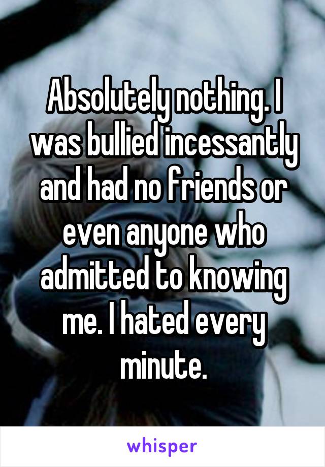 Absolutely nothing. I was bullied incessantly and had no friends or even anyone who admitted to knowing me. I hated every minute.