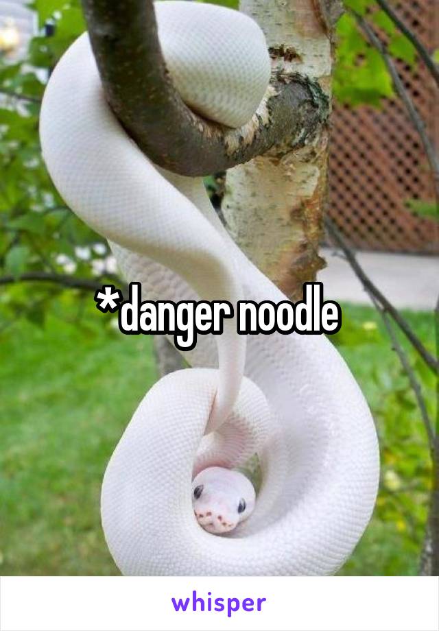 *danger noodle 