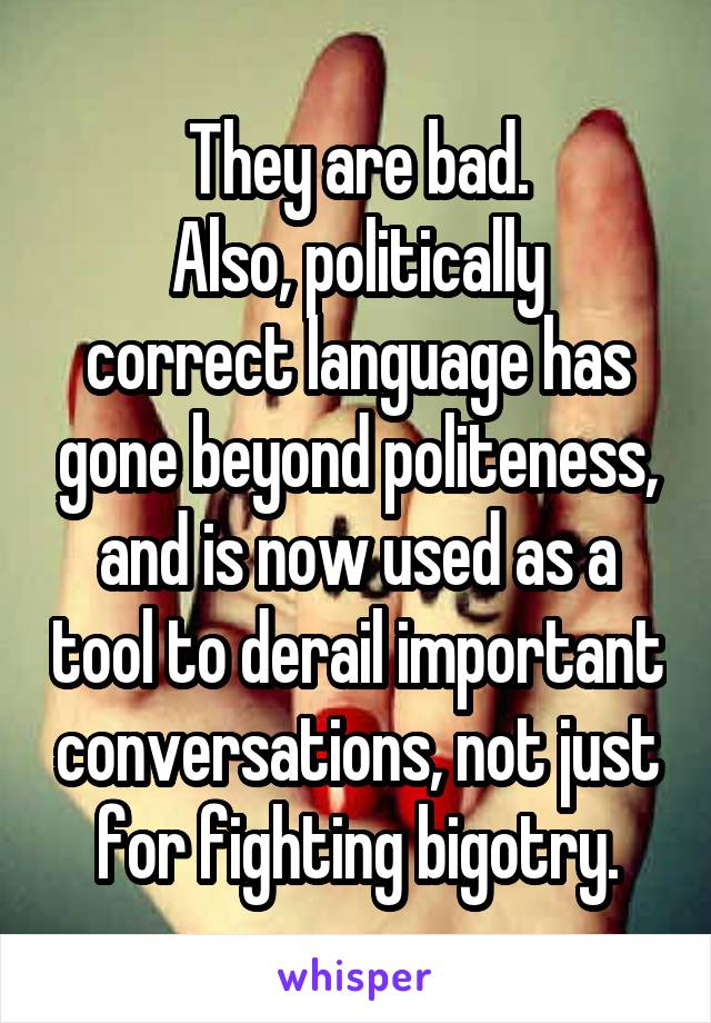They are bad.
Also, politically correct language has gone beyond politeness, and is now used as a tool to derail important conversations, not just for fighting bigotry.