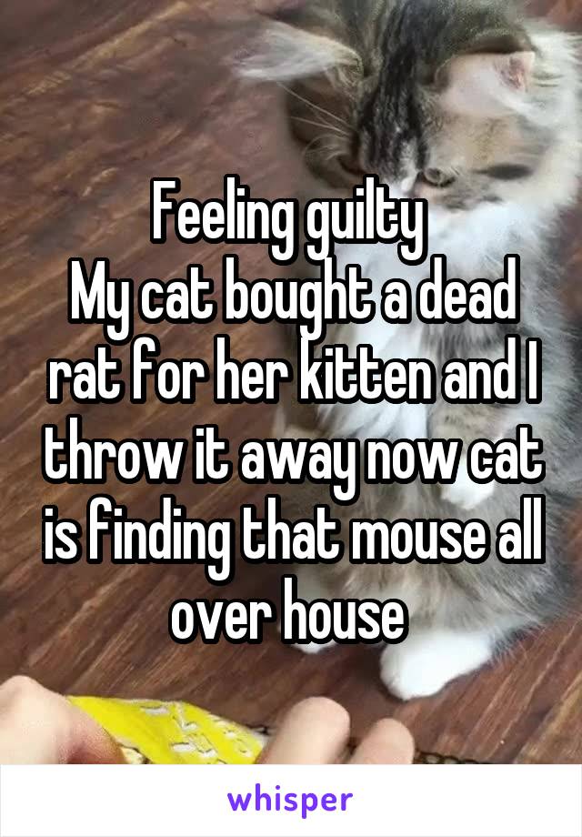 Feeling guilty 
My cat bought a dead rat for her kitten and I throw it away now cat is finding that mouse all over house 