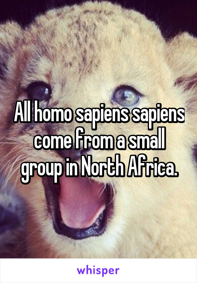All homo sapiens sapiens come from a small group in North Africa.