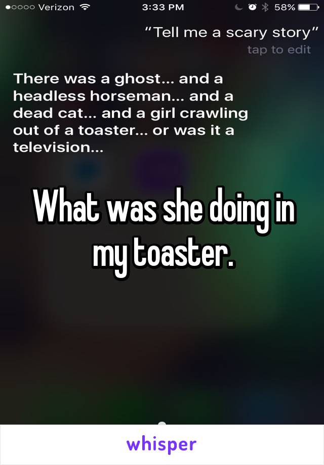 What was she doing in my toaster.