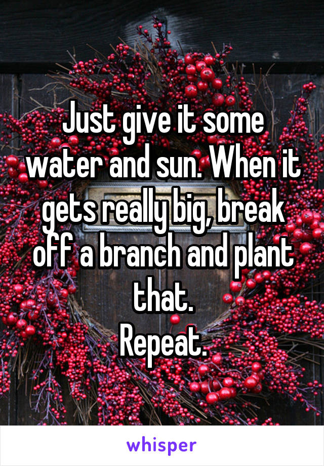 Just give it some water and sun. When it gets really big, break off a branch and plant that.
Repeat.