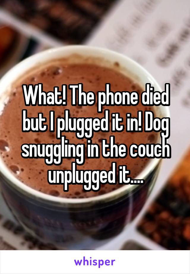 What! The phone died but I plugged it in! Dog snuggling in the couch unplugged it....