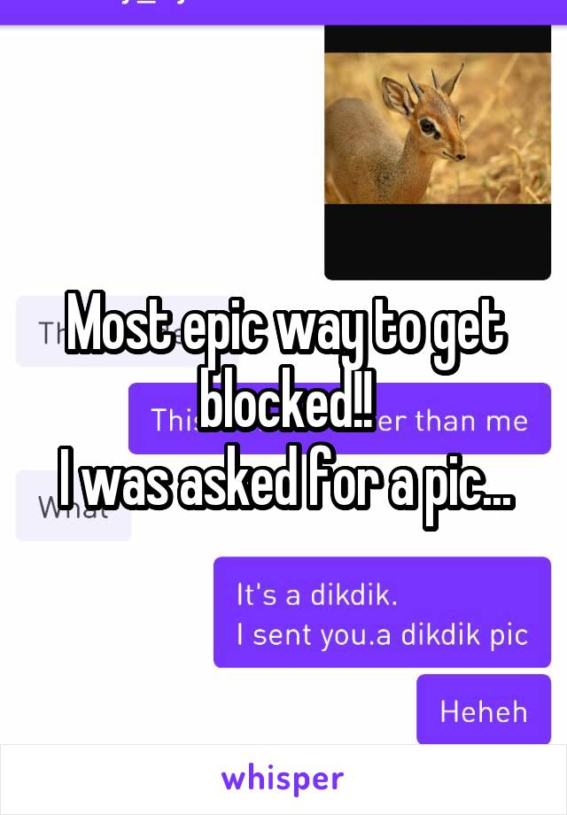 Most epic way to get blocked!!
I was asked for a pic...