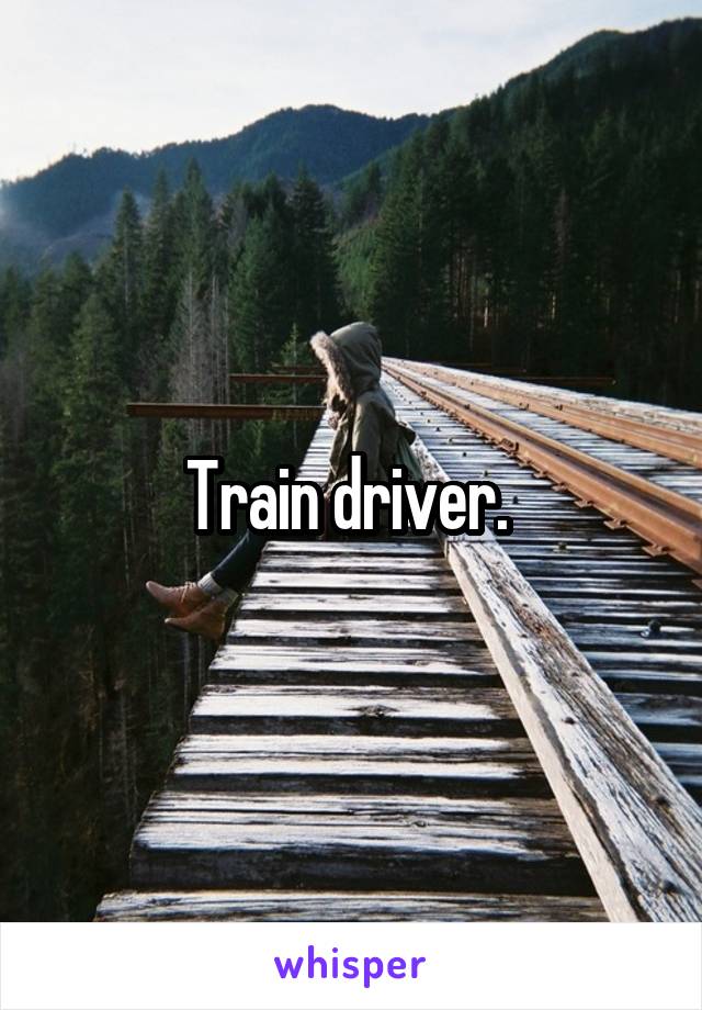 Train driver. 