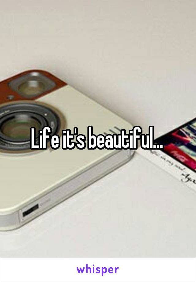 Life it's beautiful... 