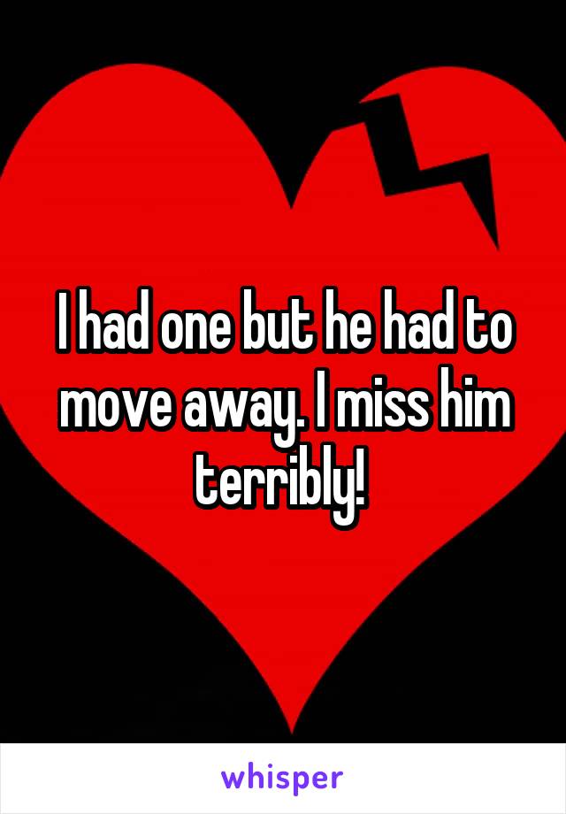 I had one but he had to move away. I miss him terribly! 