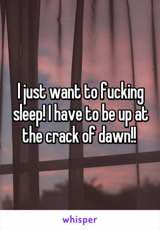 I just want to fucking sleep! I have to be up at the crack of dawn!! 