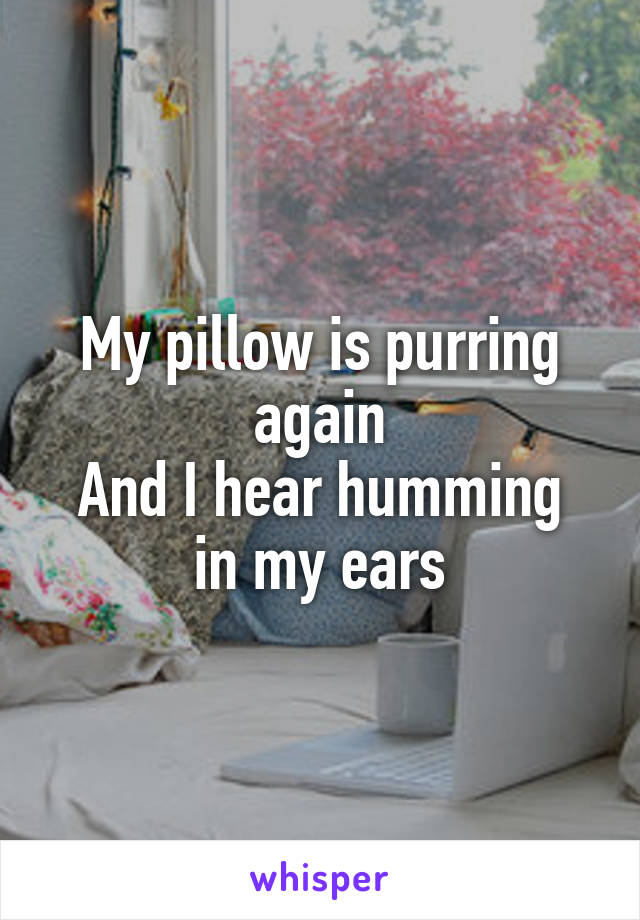 My pillow is purring again
And I hear humming in my ears