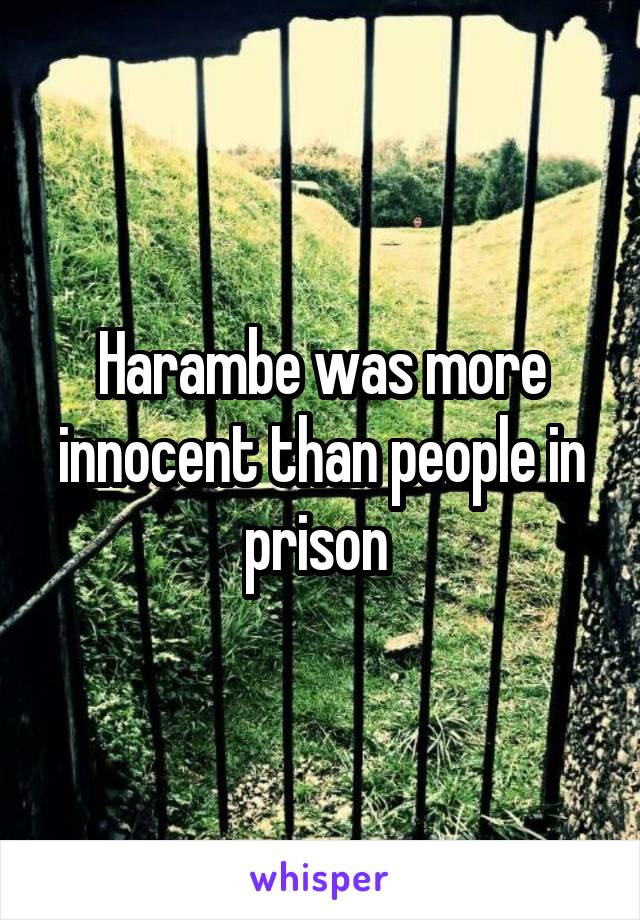 Harambe was more innocent than people in prison 