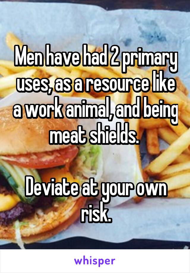 Men have had 2 primary uses, as a resource like a work animal, and being meat shields. 

Deviate at your own risk.