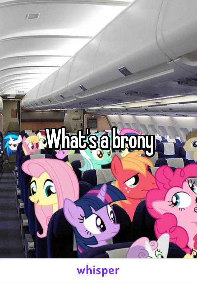 What's a brony