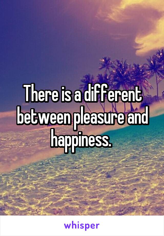 There is a different between pleasure and happiness. 