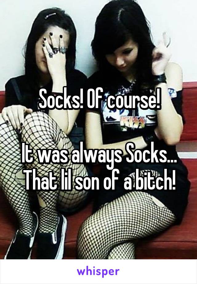 Socks! Of course!

It was always Socks...
That lil son of a bitch!