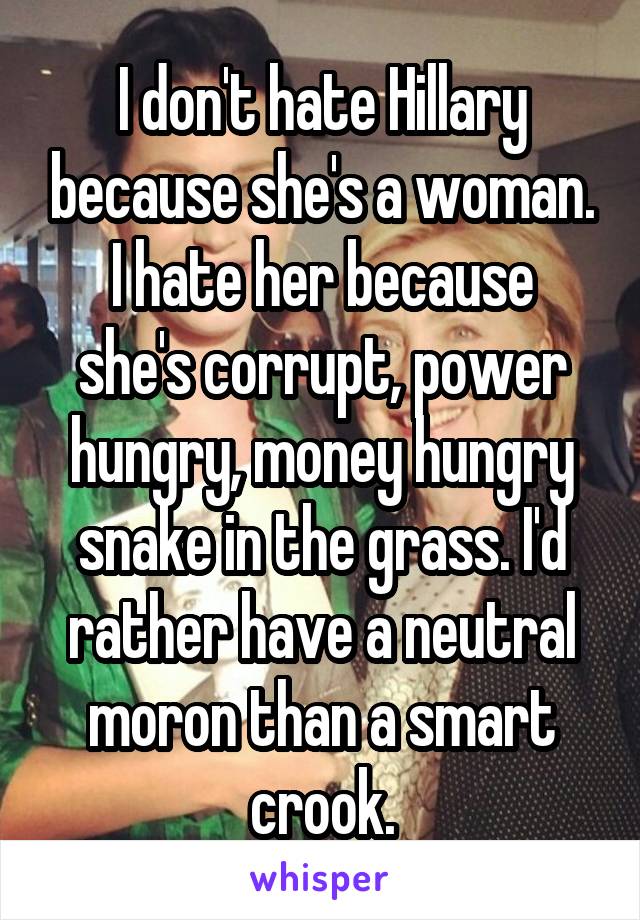 I don't hate Hillary because she's a woman.
I hate her because she's corrupt, power hungry, money hungry snake in the grass. I'd rather have a neutral moron than a smart crook.