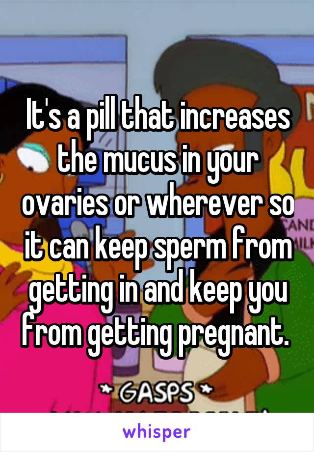 It's a pill that increases the mucus in your ovaries or wherever so it can keep sperm from getting in and keep you from getting pregnant. 